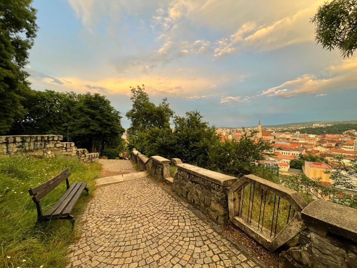 Hannahaus Cluj-Napoca Buitenkant foto